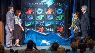 Dazzling Bioluminescent LifeForever Stamps Come to Light.L to R:-Jeffrey C. Williamson, Chief Human Resources Officer and Executive VP, USPS-Jill Roberts, News Director, WQCS Public Radio-Dr. Edith Widder, CEO and Senior Scientist, Ocean Research &Con