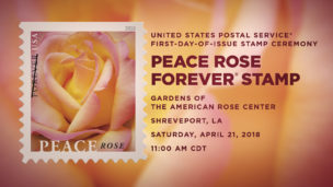 Peace Rose U.S. Postal Service Forever Stamp