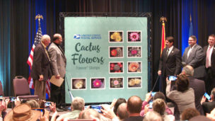 USPS FDOI Cactus Flowers Forever® Stamps