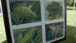 Frogs Forever Stamps