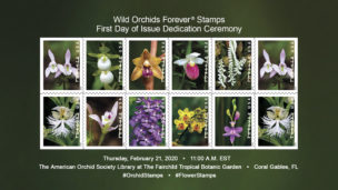 Wild Orchid USPS Forever® Stamps